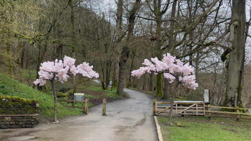 IMG 6551